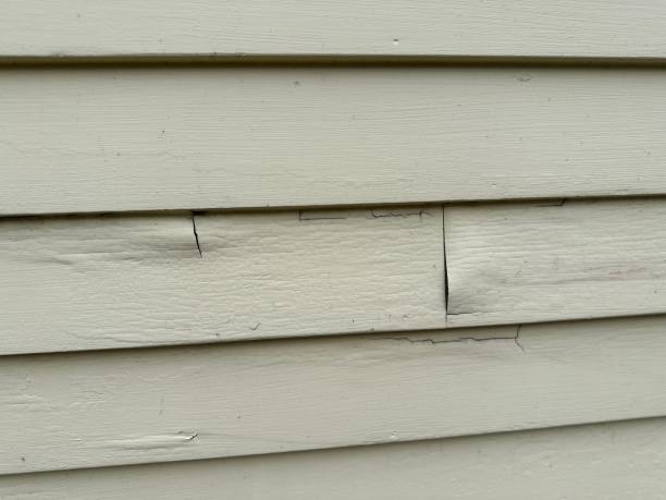 Best Historical Building Siding Restoration  in Duncan Falls, OH